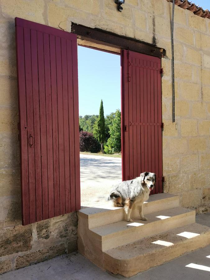 Gite De Charme Au Coeur De L'Entre-Deux-Mers Haux  المظهر الخارجي الصورة